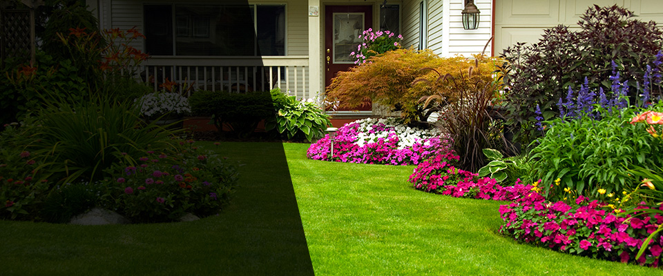 Taylor Landscapers