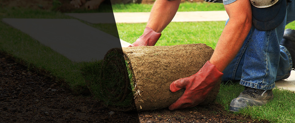 Taylor Landscapers